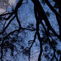 blog photo titled pudgier