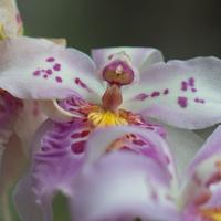 blog photo titled testify