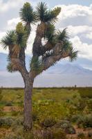 blog photo titled lapse