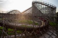 blog photo titled wildcat