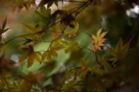 blog photo titled precipitation