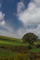 blog photo titled vantage