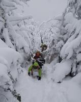 blog photo titled kleptocracy