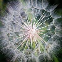 blog photo titled advanced