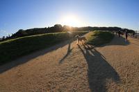 blog photo titled monstrous