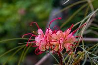 blog photo titled impossibility