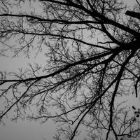 blog photo titled bonechilling