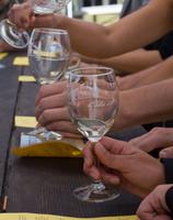 blog photo titled foxes