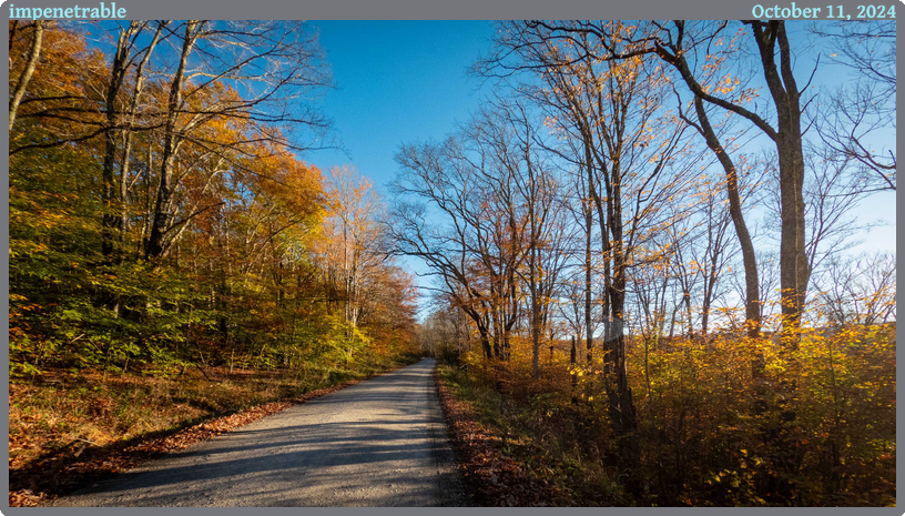 impenetrable, taken 2024-10-11 || GoPro HERO10 Black | 2.71 | 1/950s @ 2.5