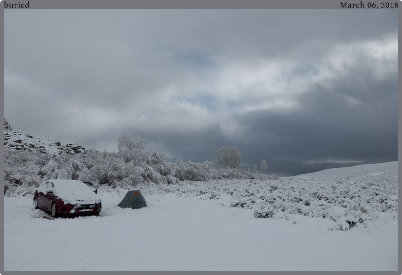 buried, taken 2018-03-06 || Panasonic DC-ZS200 | 88mm | 1/1600s @ f/5.6