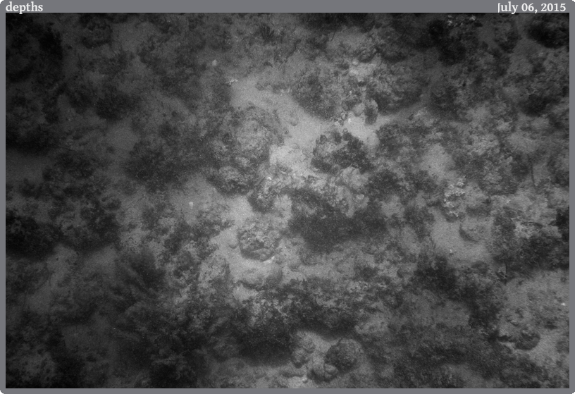 depths, taken 2015-07-06 || Canon Canon EOS REBEL T2i | 50mm | 1/4000s @ f/3.5