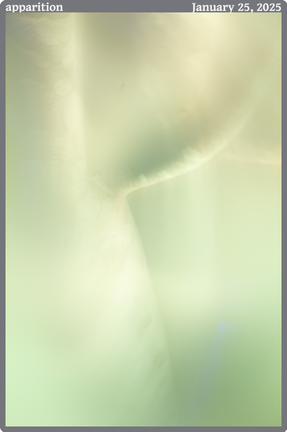 apparition, taken 2025-01-25 || Canon Canon EOS 6D | 100.0 | 6/10s @ 7.1