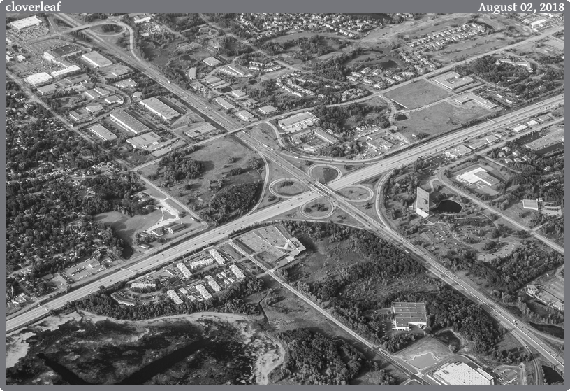 cloverleaf, taken 2018-08-02 || Canon Canon EOS REBEL T2i | 50mm | 1/250s @ f/4.5