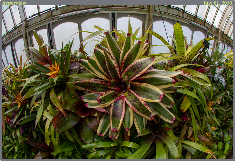 hyperview, taken 2020-07-01 || Canon Canon EOS REBEL T2i | 10mm | 1/60s @ f/4.5