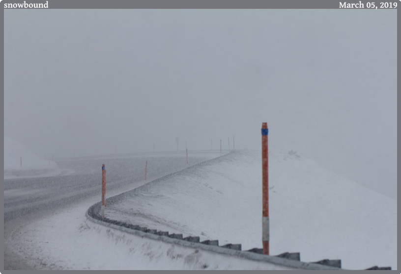 snowbound, taken 2019-03-05 || Canon Canon EOS REBEL T2i | 100mm | 1/1000s @ f/5